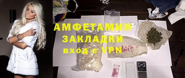ПСИЛОЦИБИНОВЫЕ ГРИБЫ Новозыбков