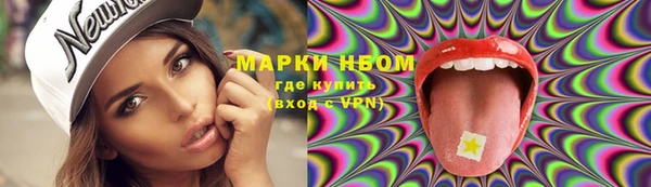 ПСИЛОЦИБИНОВЫЕ ГРИБЫ Новозыбков
