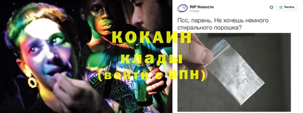 ПСИЛОЦИБИНОВЫЕ ГРИБЫ Новодвинск