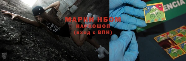 ПСИЛОЦИБИНОВЫЕ ГРИБЫ Новозыбков