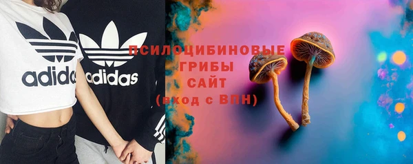 ПСИЛОЦИБИНОВЫЕ ГРИБЫ Новодвинск