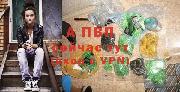 ПСИЛОЦИБИНОВЫЕ ГРИБЫ Новодвинск