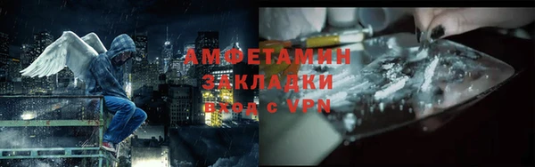 ПСИЛОЦИБИНОВЫЕ ГРИБЫ Новозыбков