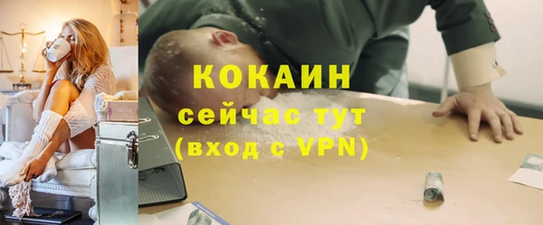 ПСИЛОЦИБИНОВЫЕ ГРИБЫ Новозыбков
