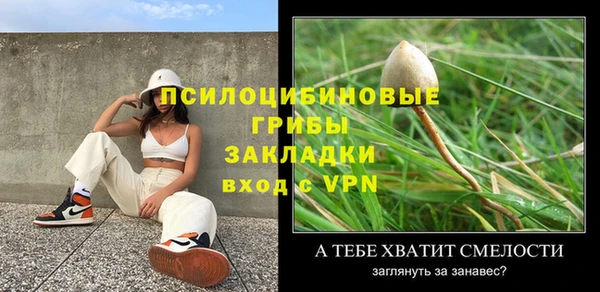 амф Новокубанск