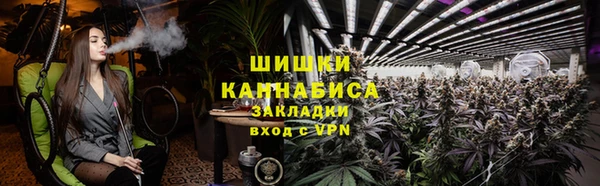 ПСИЛОЦИБИНОВЫЕ ГРИБЫ Новозыбков