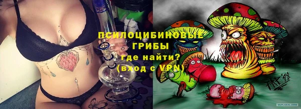 амф Новокубанск