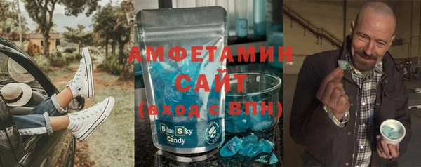 ПСИЛОЦИБИНОВЫЕ ГРИБЫ Новозыбков