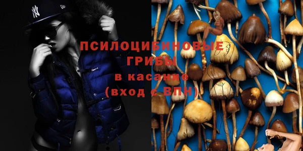 амф Новокубанск