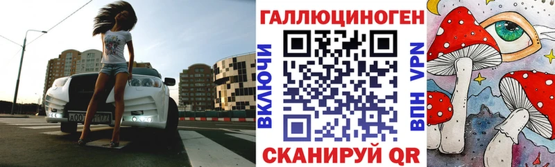 магазин продажи   Находка  Галлюциногенные грибы Cubensis 