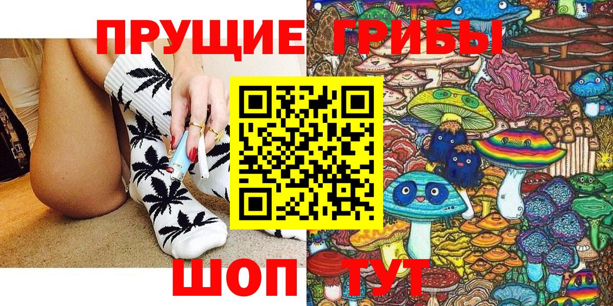 Псилоцибиновые грибы Psilocybe Находка